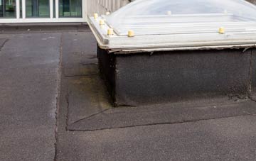 disadvantages of Muscoates flat roofs