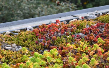 the cost of Muscoates green roof installation