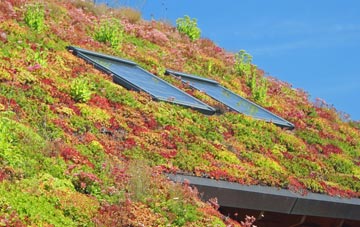 Muscoates living roof systems
