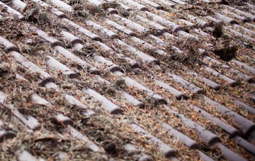 Muscoates roof cleaning companies