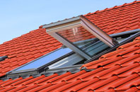 Muscoates roof window